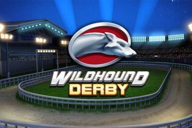 Wildhound Derby tag